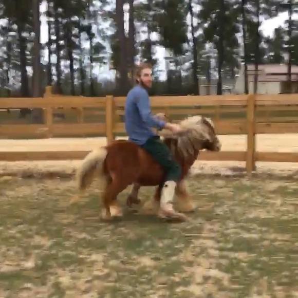 Meet your Posher, Samuel - Picture 1 of 1